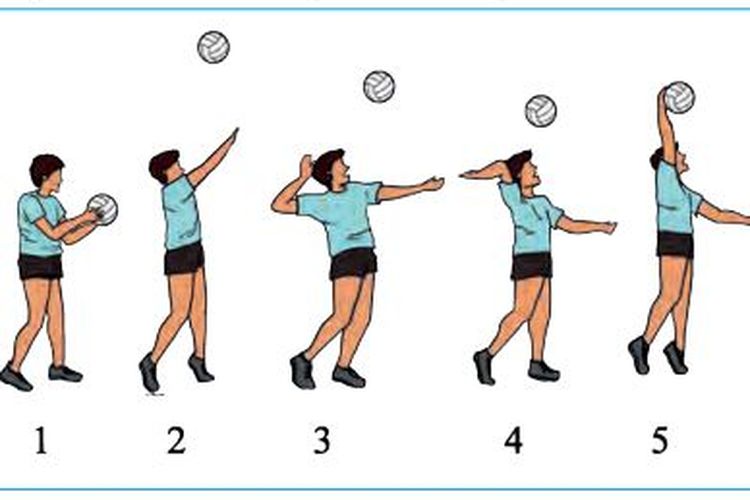 Detail Gambar Teknik Main Bola Volly Nomer 2