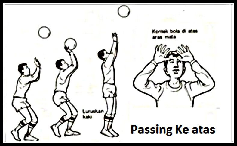 Detail Gambar Teknik Main Bola Volly Nomer 11