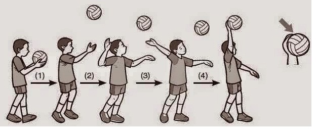 Detail Gambar Teknik Main Bola Volly Nomer 12