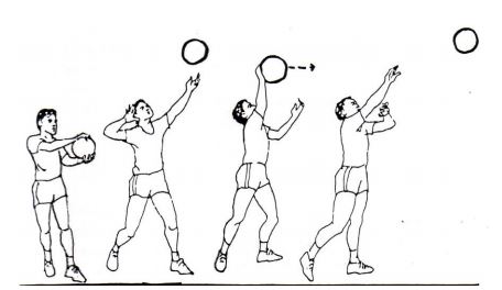 Detail Gambar Teknik Main Bola Volly Nomer 43