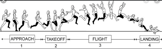 Detail Gambar Teknik Mendarat Pada Lompat Jauh Nomer 25