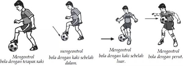 Detail Gambar Teknik Menendang Bola Nomer 8