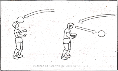 Detail Gambar Teknik Menyundul Bola Nomer 13