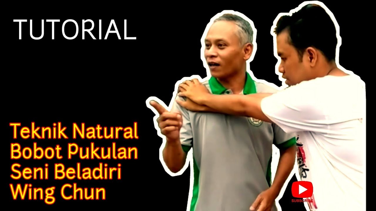 Detail Gambar Teknik Pukulan Wing Chun Nomer 45