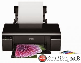 Detail Gambar Teknis Printer Epson T60 Printer Epson T60 Nomer 3