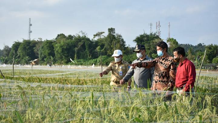 Detail Gambar Teknologi Modern Dalam Pertanian Nomer 38