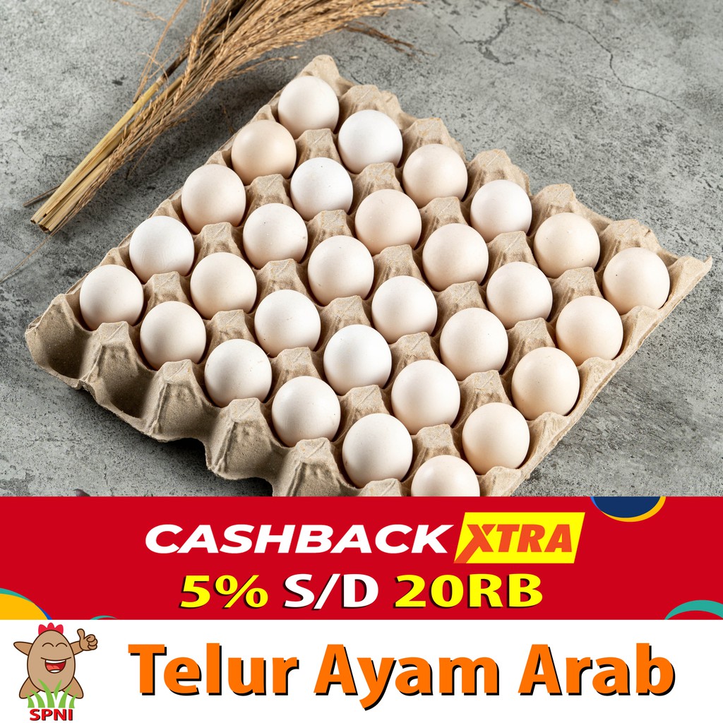 Detail Gambar Telur Ayam Arab Nomer 21