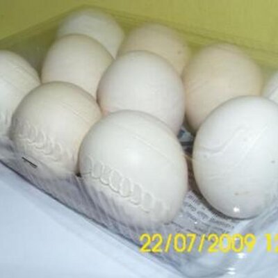 Detail Gambar Telur Ayam Arab Nomer 48