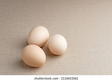 Detail Gambar Telur Ayam Kampung Nomer 39
