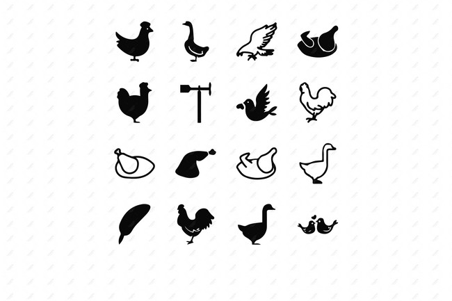 Detail Gambar Telur Ayam Kartun Hitam Putih Nomer 31