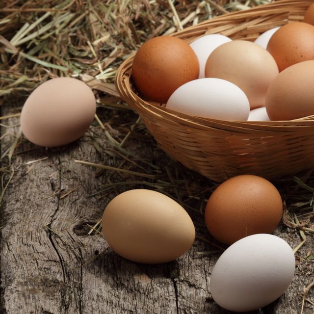 Detail Gambar Telur Ayam Nomer 9