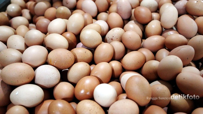 Detail Gambar Telur Ayam Petelur Nomer 3