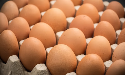 Detail Gambar Telur Ayam Petelur Nomer 26