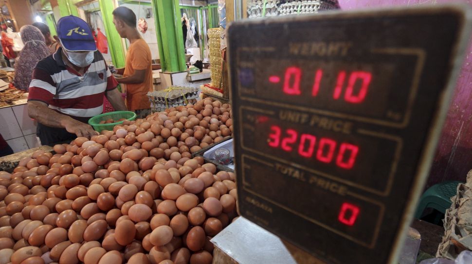 Detail Gambar Telur Ayam Petelur Nomer 32