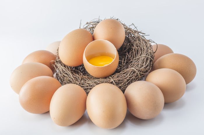 Detail Gambar Telur Ayam Ras Nomer 21