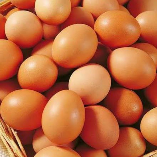 Detail Gambar Telur Ayam Ras Nomer 27
