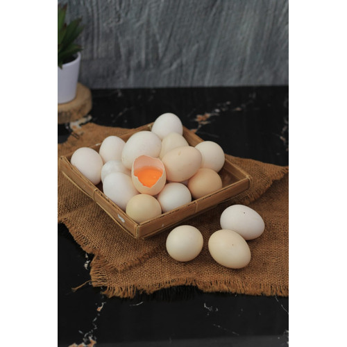 Detail Gambar Telur Ayam Warna Merah Nomer 19