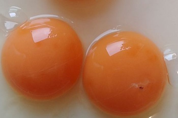 Detail Gambar Telur Ayam Warna Merah Nomer 30