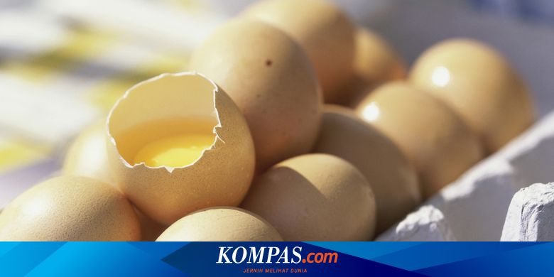 Detail Gambar Telur Ayam Warna Warni Gambar Telur Ayam Warna Merah Nomer 23