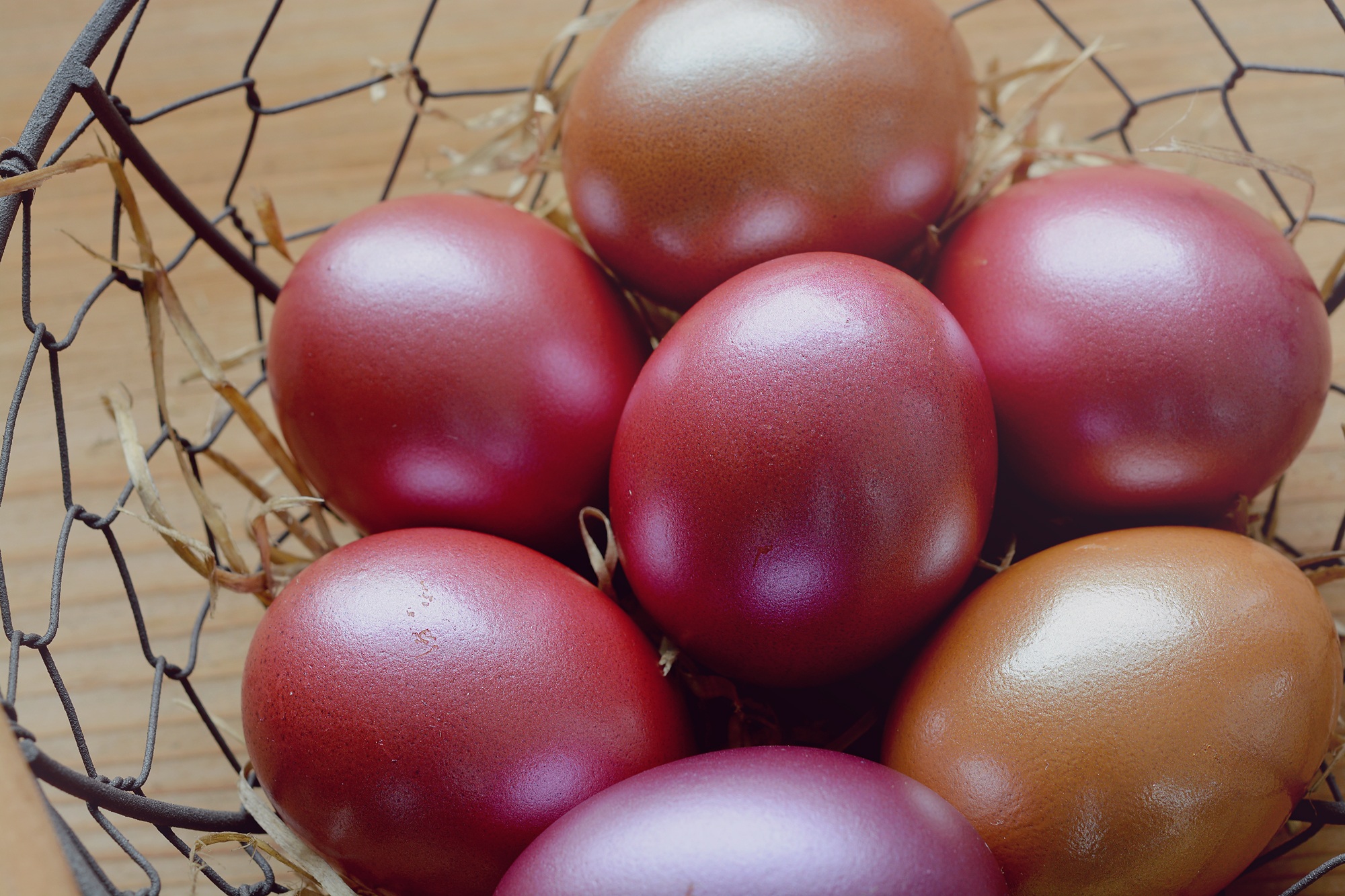 Detail Gambar Telur Ayam Warna Warni Gambar Telur Ayam Warna Merah Nomer 5