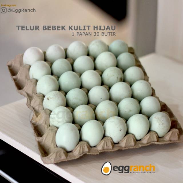 Detail Gambar Telur Bebek Nomer 46