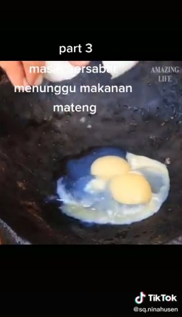 Detail Gambar Telur Buaya Nomer 31