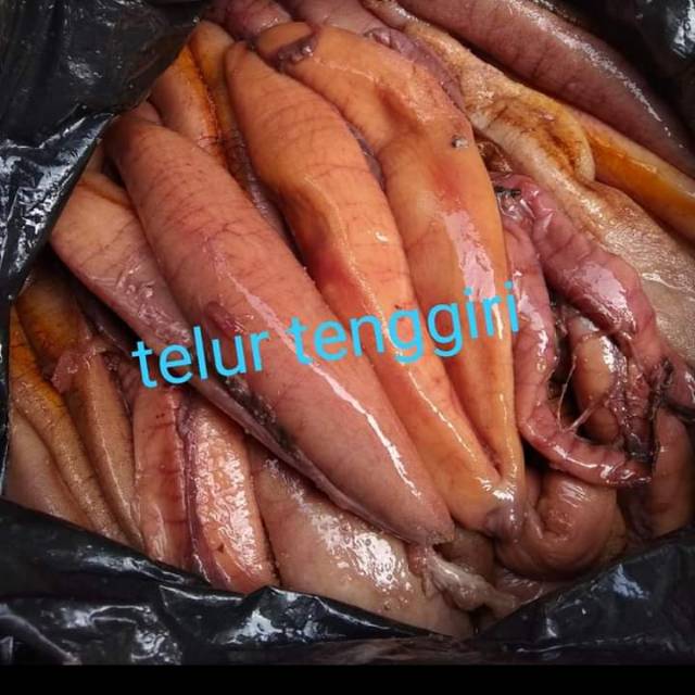 Detail Gambar Telur Ikan Nomer 50