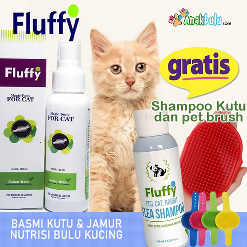 Detail Gambar Telur Kutu Kucing Nomer 15