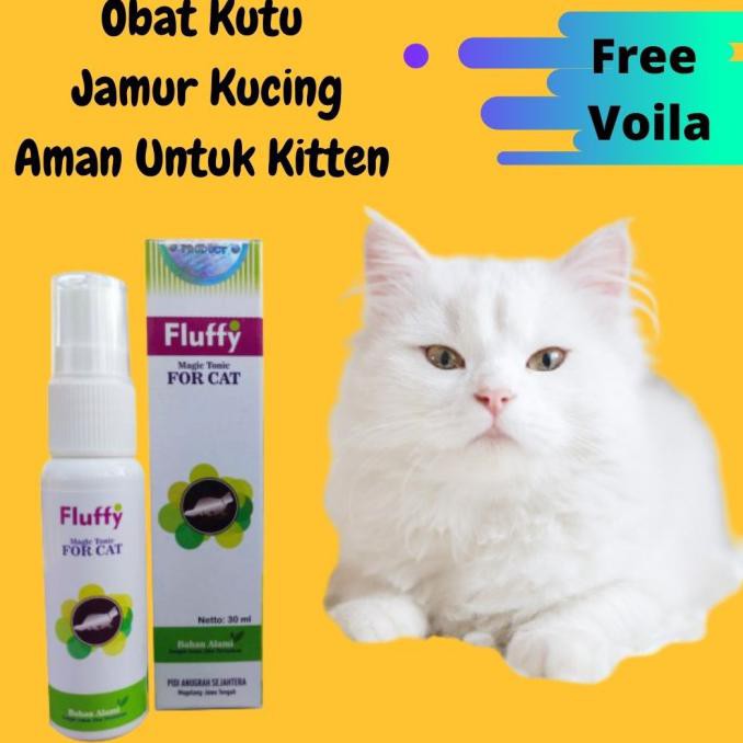 Detail Gambar Telur Kutu Kucing Nomer 18