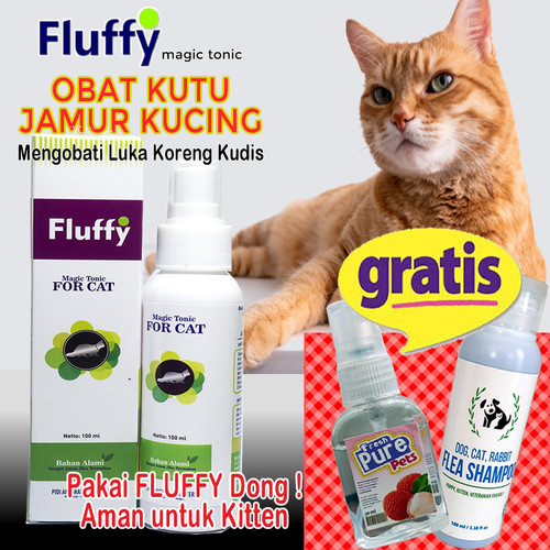 Detail Gambar Telur Kutu Kucing Nomer 32