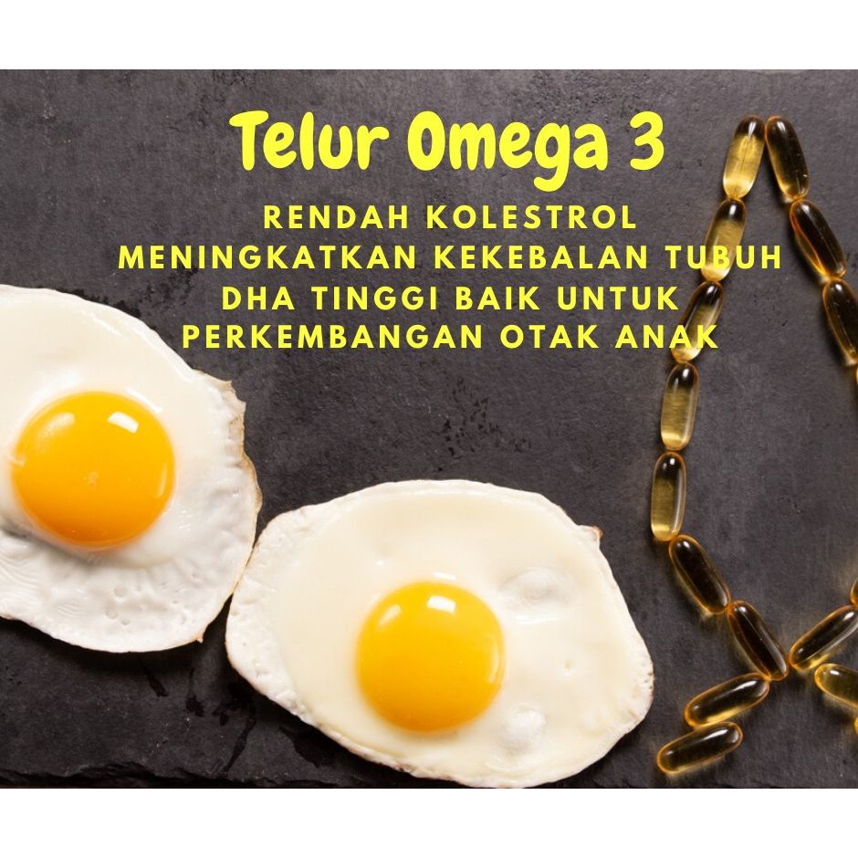 Detail Gambar Telur Omega 3 Nomer 28