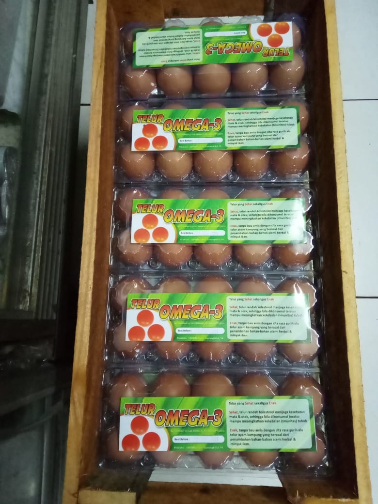 Detail Gambar Telur Omega 3 Nomer 33