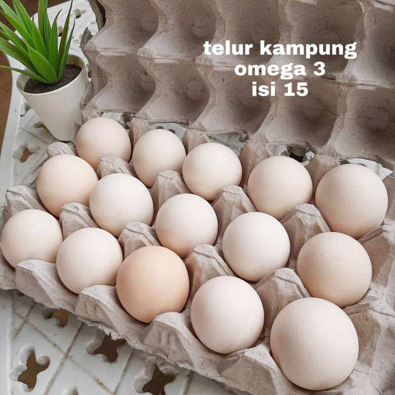 Detail Gambar Telur Omega 3 Nomer 40