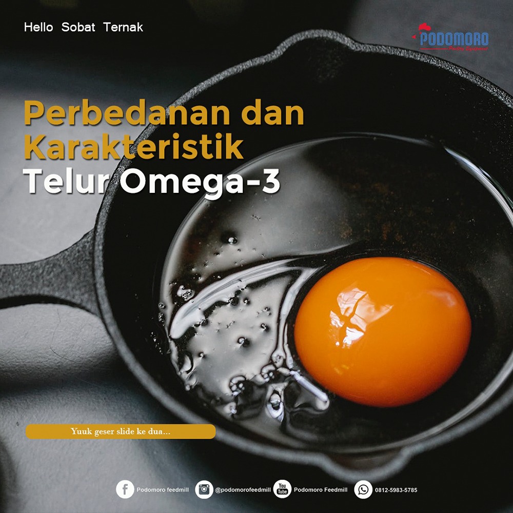 Detail Gambar Telur Omega 3 Nomer 44