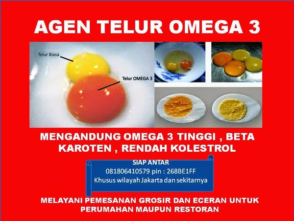 Detail Gambar Telur Omega 3 Nomer 48