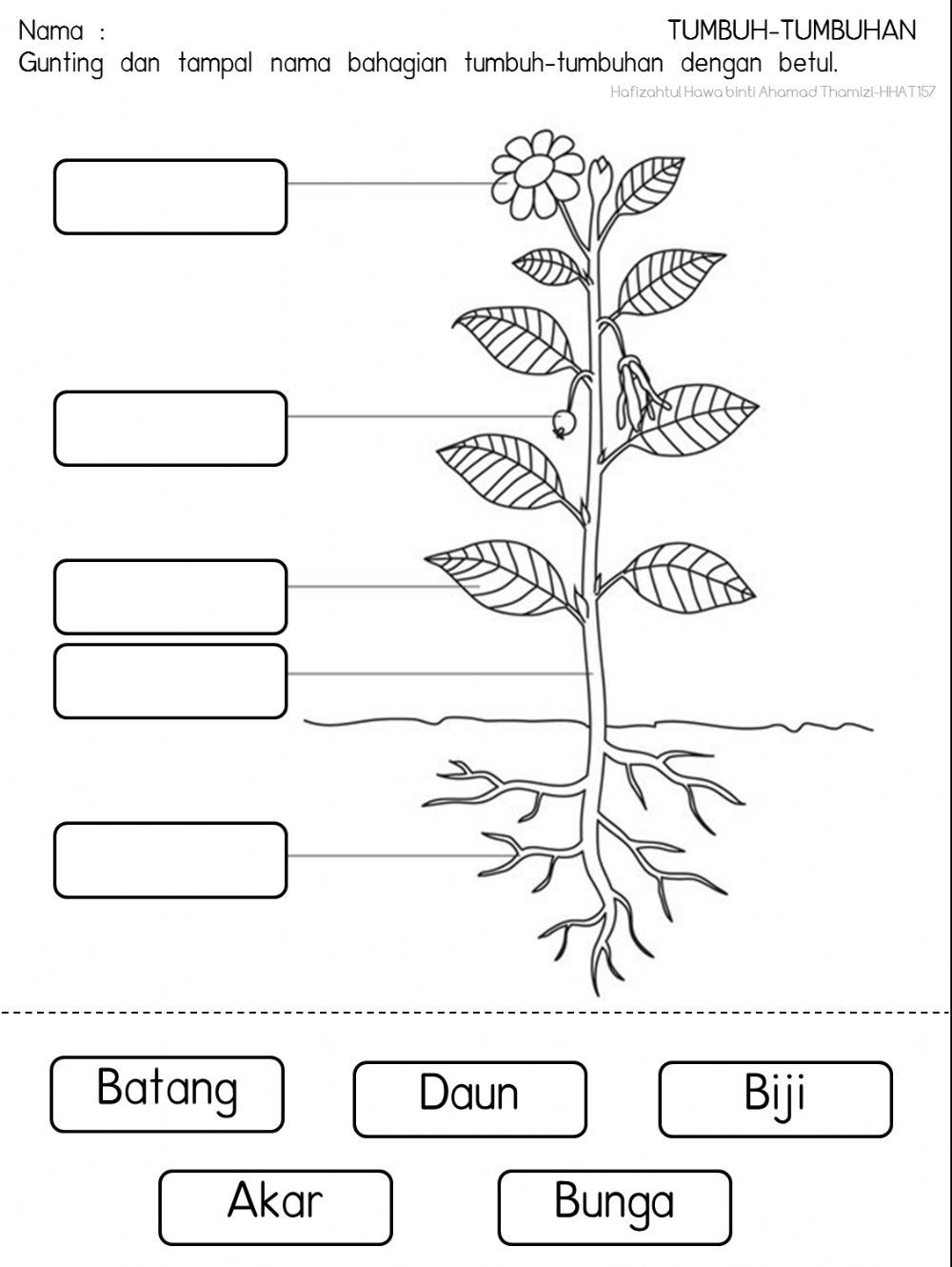 Detail Gambar Tema Tanaman Untuk Anak Tk Nomer 2