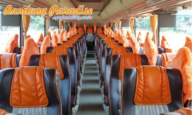 Detail Gambar Tempat Duduk Bus Pariwisata Nomer 9