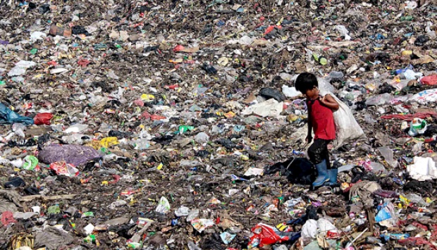 Detail Gambar Tempat Pembuangan Sampah Nomer 31