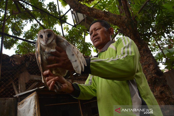 Detail Gambar Tempat Penangkaran Burung 3d Nomer 10