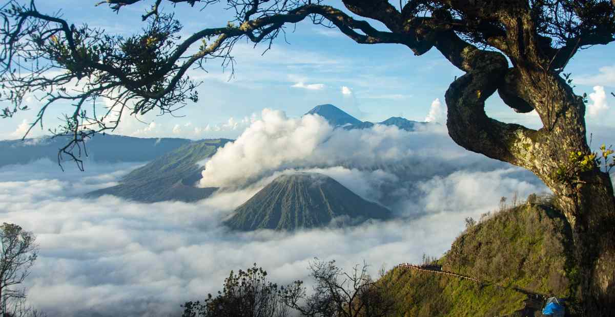 Detail Gambar Tempat Wisata Gunung Bromo Nomer 11