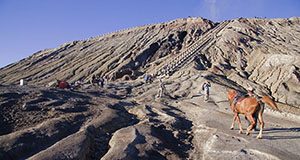 Detail Gambar Tempat Wisata Gunung Bromo Nomer 24