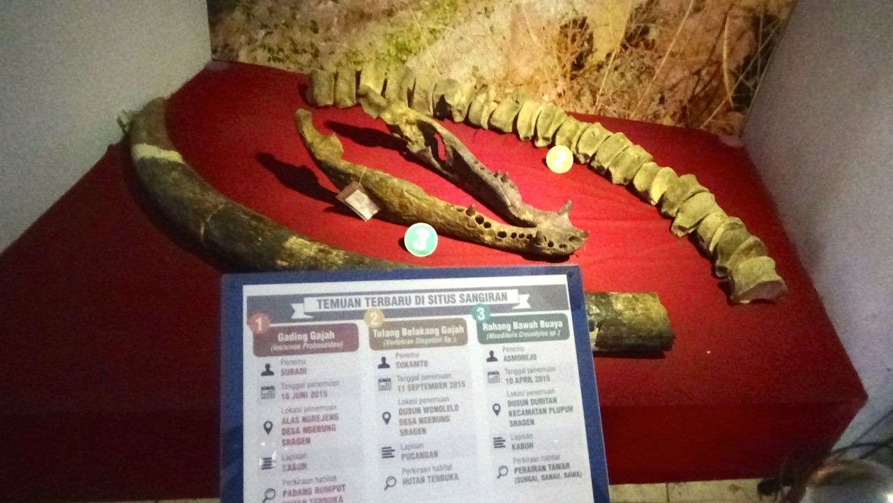 Detail Gambar Temuan Fosil Pada Zaman Sejarah Nomer 49