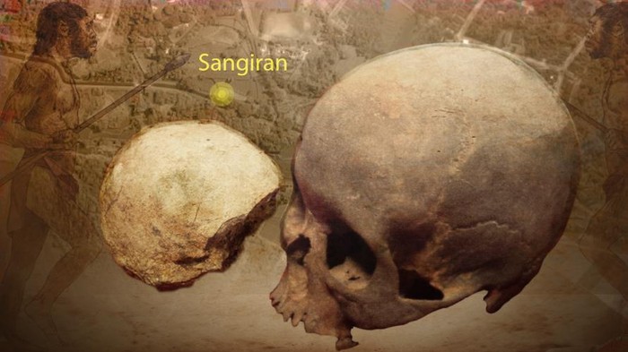 Detail Gambar Temuan Fosil Pada Zaman Sejarah Nomer 7