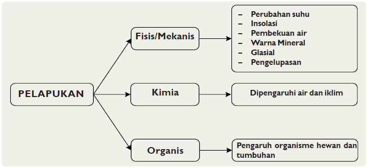 Detail Gambar Tenaga Eksogen Nomer 56