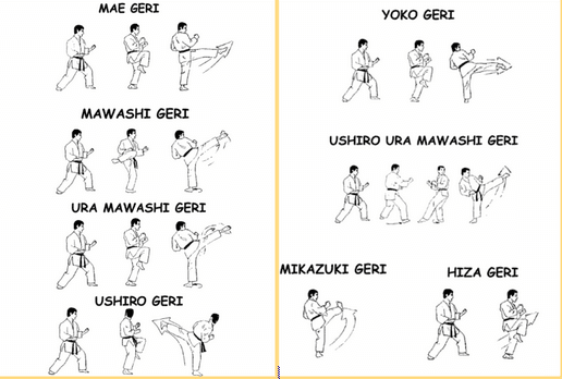 Detail Gambar Tendangan Karate Nomer 2