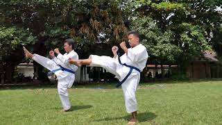 Detail Gambar Tendangan Karate Nomer 5