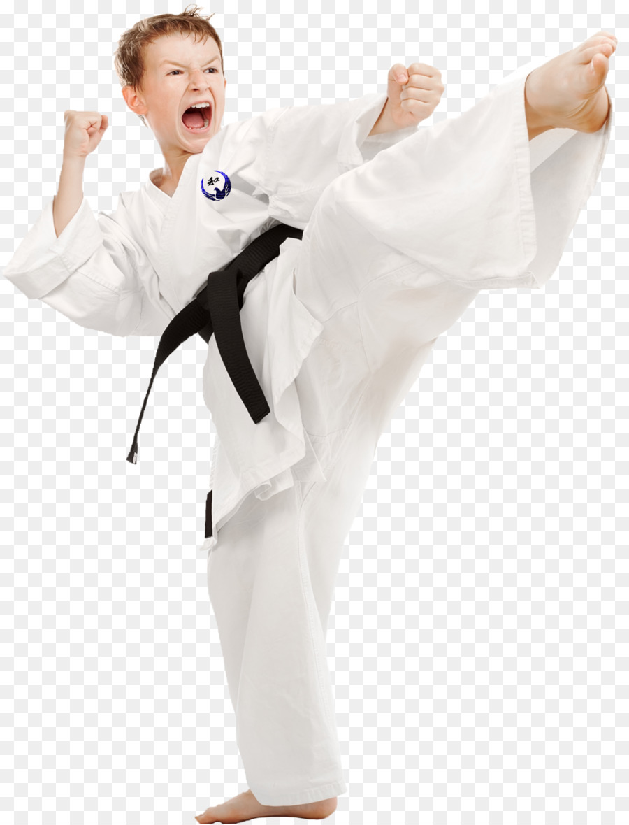 Detail Gambar Tendangan Karate Nomer 45