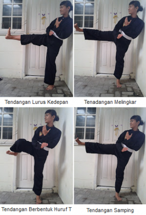 Detail Gambar Tendangan Pencak Silat Nomer 9