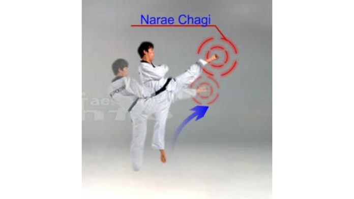 Detail Gambar Tendangan Taekwondo Nomer 39