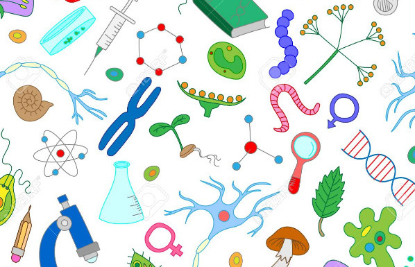 Detail Gambar Tentang Biologi Nomer 10